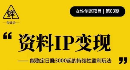 资料IP变现，能稳定日赚3000起的持续性盈利玩法-ANQUYE-HENHENLU-26UUU[首页]