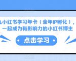 厦九九小红书学习年卡（全年IP孵化），沉浸式学习，一起成为有影响力的小红书博主-ANQUYE-HENHENLU-26UUU[首页]