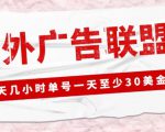 外面收费1980的最新国外LEAD广告联盟搬砖项目，单号一天至少30美金【详细玩法教程】-ANQUYE-HENHENLU-26UUU[首页]