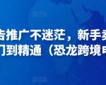 亚马逊广告推广不迷茫，新手卖家产品运营入门到精通（恐龙跨境电商）-ANQUYE-HENHENLU-26UUU[首页]