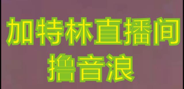 抖音加特林直播间搭建技术，抖音0粉开播，暴力撸音浪，2023新口子，每天800+【素材+详细教程】-ANQUYE-HENHENLU-26UUU[首页]