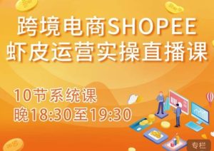 跨境电商Shopee虾皮运营实操直播课，从零开始学，入门到精通（10节系统课）-ANQUYE-HENHENLU-26UUU[首页]