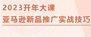 2023亚马逊新品推广实战技巧，线下百万美金课程的精简版，简单粗暴可复制，实操性强的推广手段-ANQUYE-HENHENLU-26UUU[首页]