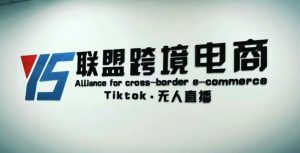 YS联盟·Tiktok无人直播，不出镜不剪辑不拍摄不发货无售后的跨境短视频躺赚玩法-ANQUYE-HENHENLU-26UUU[首页]