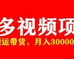 多多带货视频快速50爆款拿带货资格，搬运带货，月入30000【全套脚本+详细玩法】-ANQUYE-HENHENLU-26UUU[首页]