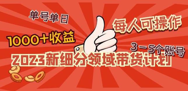 2023新细分领域带货计划：单号单日1000+收益不难，每人可操作3-5个账号-ANQUYE-HENHENLU-26UUU[首页]