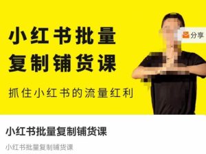 张宾·小红书批量复制铺货课，抓住小红书的流量红利 （更新2023年2月）-ANQUYE-HENHENLU-26UUU[首页]