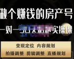 刘广标·同城房产号线上陪跑课，拍摄、剪辑、写文案、直播，做一个具有潜力价值的房产号-ANQUYE-HENHENLU-26UUU[首页]
