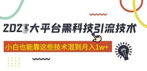 大平台黑科技引流技术，小白也能靠这些技术混到月入1w+(2022年的课程）-ANQUYE-HENHENLU-26UUU[首页]