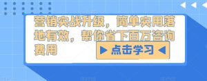营销实战升级，简单实用落地有效，帮你省下百万咨询费用-ANQUYE-HENHENLU-26UUU[首页]