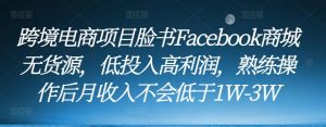 跨境电商项目脸书Facebook商城无货源，低投入高利润，熟练操作后月收入不会低于1W-3W-ANQUYE-HENHENLU-26UUU[首页]