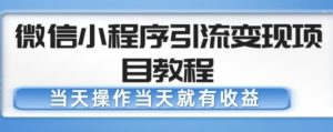 微信小程序引流变现项目教程，当天操作当天就有收益，变现不再是难事-ANQUYE-HENHENLU-26UUU[首页]