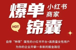 无畏·小红书商家爆单锦囊，掌握小红书各大规则，快速精准抢占行业和市场-ANQUYE-HENHENLU-26UUU[首页]