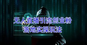 外面收费3980的无人直播引流创业粉落地实操玩法，单日引100+精准创业粉-ANQUYE-HENHENLU-26UUU[首页]