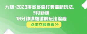 大炮·2023拼多多强付费最新玩法，3月新课​78分钟详细讲解玩法流程-ANQUYE-HENHENLU-26UUU[首页]
