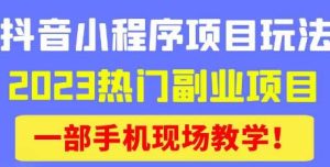 抖音小程序9.0新技巧，2023热门副业项目，动动手指轻松变现-ANQUYE-HENHENLU-26UUU[首页]