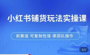小红书铺货玩法实操课，流量大，竞争小，非常好做，新赛道，可复制性强，可团队操作-ANQUYE-HENHENLU-26UUU[首页]
