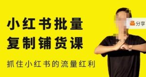 张宾·小红书批量复制铺货课，小红书0-1快速起号变现玩法，抓住小红书的流量红利（更新2023年3月）-ANQUYE-HENHENLU-26UUU[首页]