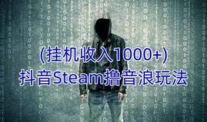 抖音Steam撸音浪玩法，挂机一天收入1000+不露脸 不说话 不封号 社恐人群福音-ANQUYE-HENHENLU-26UUU[首页]