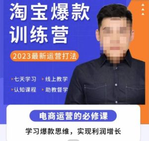 爱上黄昏·淘宝爆款训练营，2023最新运营打法，学习爆款思维，实现利润增长-ANQUYE-HENHENLU-26UUU[首页]