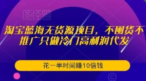淘宝蓝海无货源项目，不囤货不推广只做冷门高利润代发，花一半时间赚10倍钱-ANQUYE-HENHENLU-26UUU[首页]