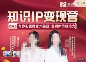 鹿盈盈-知识IP变现实操营，​普通人可复制的知识产品落地实操课，​带你打通知识IP变现底层逻辑-ANQUYE-HENHENLU-26UUU[首页]