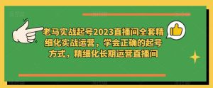 老马实战起号2023直播间全套精细化实战运营，学会正确的起号方式，精细化长期运营直播间-ANQUYE-HENHENLU-26UUU[首页]
