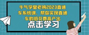 牛气学堂老衲2023直通车系统课，帮你实现直通车的低花费高产出-ANQUYE-HENHENLU-26UUU[首页]