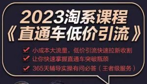 2023直通车低价引流玩法课程，小成本大流量，低价引流快速拉新收割，让你快速掌握直通车突破瓶颈-ANQUYE-HENHENLU-26UUU[首页]