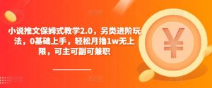 小说推文保姆式教学2.0，另类进阶玩法，0基础上手，轻松月撸1w无上限，可主可副可兼职-ANQUYE-HENHENLU-26UUU[首页]