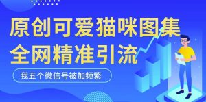 黑科技纯原创可爱猫咪图片，全网精准引流，实操5个VX号被加频繁-ANQUYE-HENHENLU-26UUU[首页]