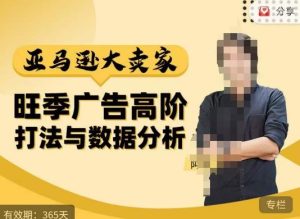 阿甘·亚马逊大卖家广告高阶打法与数据分析，走出传统广告误区；揭秘大卖惯用打法；数据驱动广告决策-ANQUYE-HENHENLU-26UUU[首页]