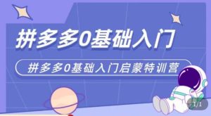 六一电商·拼多多运营0-1实操特训营，拼多多从基础到进阶的可实操玩法-ANQUYE-HENHENLU-26UUU[首页]