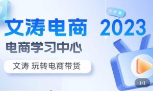 文涛电商·7天零基础自然流起号，​快速掌握店铺运营的核心玩法，突破自然展现量，玩转直播带货-ANQUYE-HENHENLU-26UUU[首页]