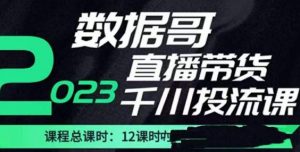数据哥2023直播电商巨量千川付费投流实操课，快速掌握直播带货运营投放策略-ANQUYE-HENHENLU-26UUU[首页]