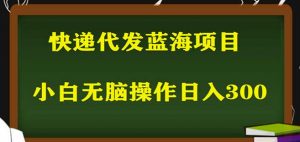 2023最新蓝海快递代发项目，小白零成本照抄也能日入300+-ANQUYE-HENHENLU-26UUU[首页]