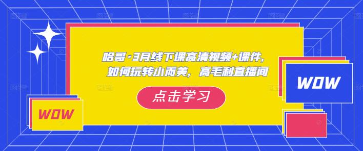 哈哥·3月线下实操课高清视频+课件，如何玩转小而美，高毛利直播间-ANQUYE-HENHENLU-26UUU[首页]