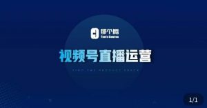 那个腾·视频号直播运营，​视频号直播推流逻辑/流量渠道解析/直播起号攻略/直播实操技巧-ANQUYE-HENHENLU-26UUU[首页]