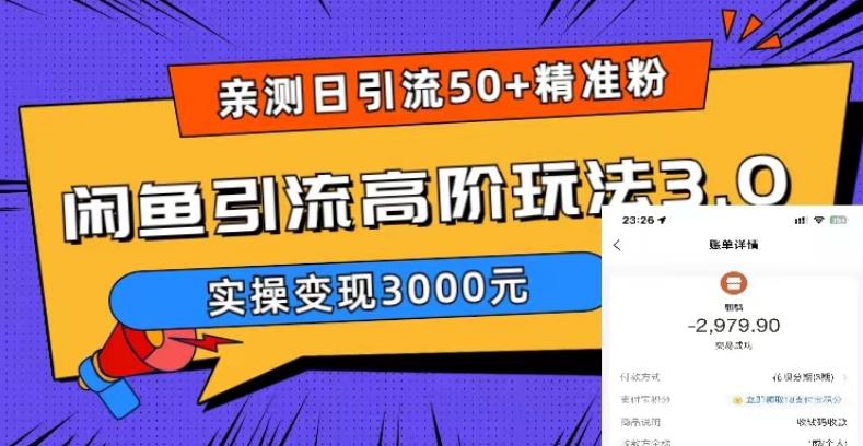 亲测日引50+精准粉，闲鱼引流高阶玩法3.0，实操变现3000元【揭秘】-ANQUYE-HENHENLU-26UUU[首页]