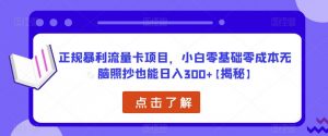 正规暴利流量卡项目，小白零基础零成本无脑照抄也能日入300+【揭秘】-ANQUYE-HENHENLU-26UUU[首页]