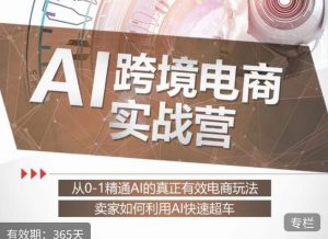 白龙老师·AI跨境电商实战营：从0-1精通Al的真正有效电商玩法，卖家如何利用Al快速超车-ANQUYE-HENHENLU-26UUU[首页]