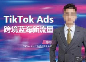 稳哥·如何投出高ROI的TikTok广告，开拓独立站卖家流量新蓝海-ANQUYE-HENHENLU-26UUU[首页]