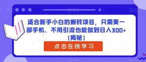 适合新手小白的搬砖项目，只需要一部手机、不用引流也能做到日入300+【揭秘】-ANQUYE-HENHENLU-26UUU[首页]