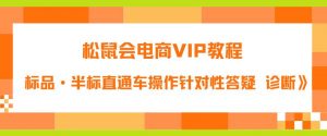 松鼠会电商VIP教程：松鼠《付费推广标品·半标直通车操作针对性答疑&诊断》-ANQUYE-HENHENLU-26UUU[首页]
