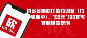 拼多多爆款打造特训营（持续更新中)，199元*100套可复制爆款案例-ANQUYE-HENHENLU-26UUU[首页]
