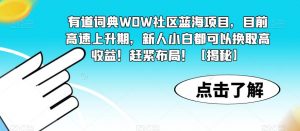 有道词典WOW社区蓝海项目，目前高速上升期，新人小白都可以换取高收益！赶紧布局！【揭秘】-ANQUYE-HENHENLU-26UUU[首页]