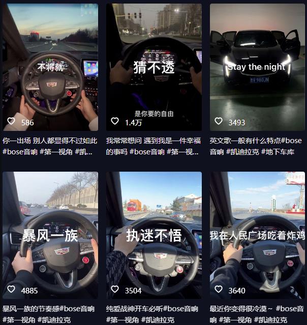 抖音开车视频项目，0基础操作，每天五分钟，月入1W+【揭秘】-ANQUYE-HENHENLU-26UUU[首页]