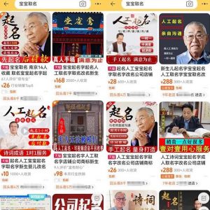 拆解小红书宝宝起名虚拟副业项目，一条龙实操玩法分享给你（教程+软件）-ANQUYE-HENHENLU-26UUU[首页]