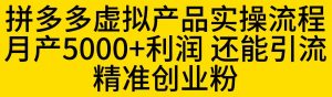 拼多多虚拟产品实操流程，月产5000+利润，还能引流精准创业粉【揭秘】-ANQUYE-HENHENLU-26UUU[首页]