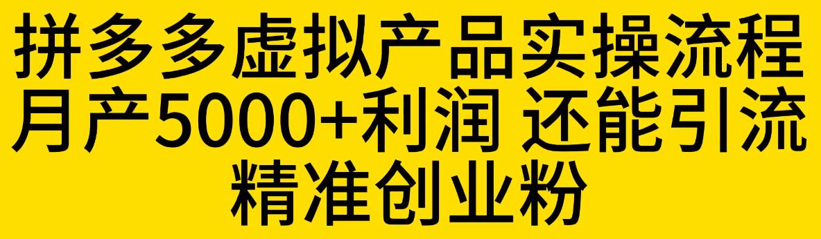 拼多多虚拟产品实操流程，月产5000+利润，还能引流精准创业粉【揭秘】-ANQUYE-HENHENLU-26UUU[首页]